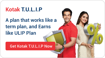 Kotak TULIP